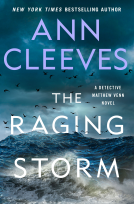 book cover for The Raging Storm