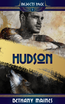 book cover for Hudson