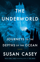 book cover for The Underworld