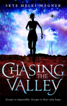 book cover for Chasing the Valley