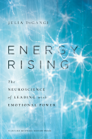 book cover for Energy Rising