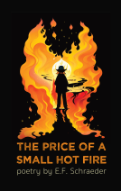 book cover for The Price of a Small Hot Fire