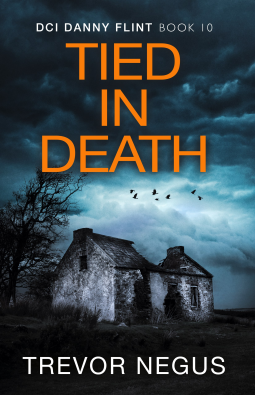 book cover for Tied In Death