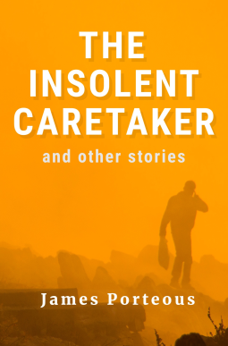 book cover for The Insolent Caretaker