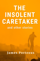 book cover for The Insolent Caretaker