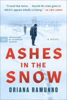book cover for Ashes in the Snow