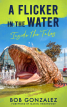 book cover for A Flicker in the Water