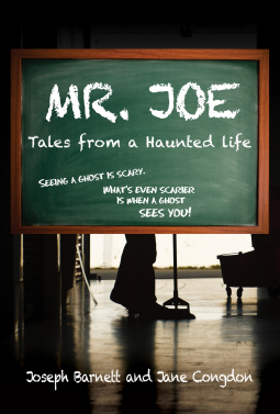 book cover for Mr. Joe