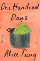 book cover for One Hundred Days