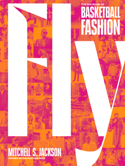 book cover for Fly