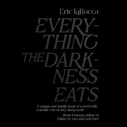 book cover for Everything The Darkness Eats