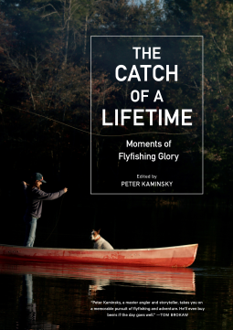 book cover for The Catch of a Lifetime