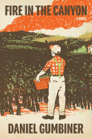 book cover for Fire in the Canyon