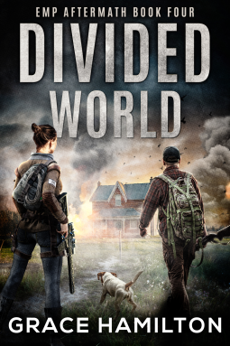 book cover for Divided World
