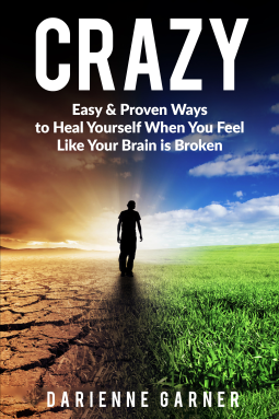 book cover for CRAZY