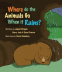 Cover Image: Where Do The Animals Go When It Rains?