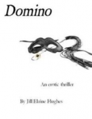 book cover for Domino