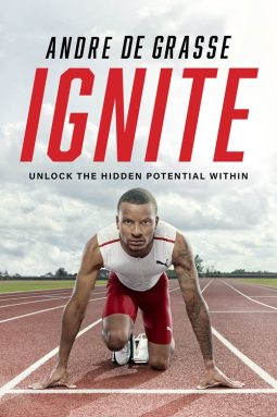book cover for Ignite