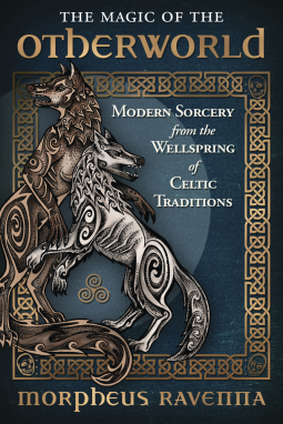 book cover for The Magic of the Otherworld