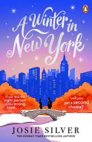 book cover for A Winter in New York