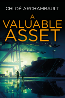 book cover for A Valuable Asset
