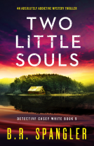 book cover for Two Little Souls (Detective Casey White Book 9)