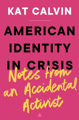 book cover for American Identity in Crisis: Notes from an Accidental Activist
