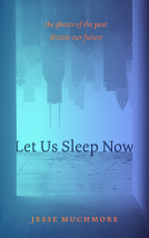 book cover for Let Us Sleep Now
