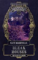 book cover for Bleak Houses