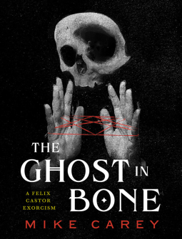 book cover for The Ghost in Bone