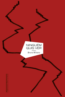 book cover for Ninguém quis ver