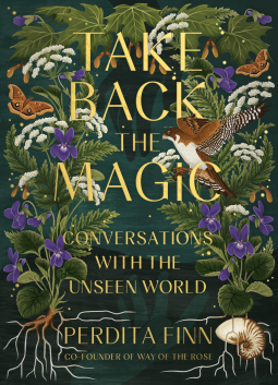 book cover for Take Back the Magic