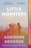 book cover for Little Monsters