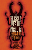 book cover for The Secret Life of Insects and Other Stories