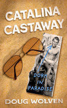 book cover for Catalina Castaway