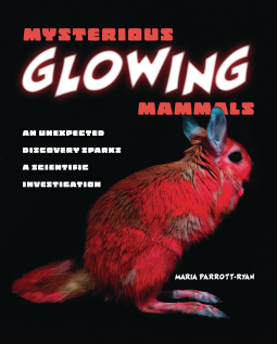 book cover for Mysterious Glowing Mammals