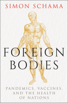 book cover for Foreign Bodies