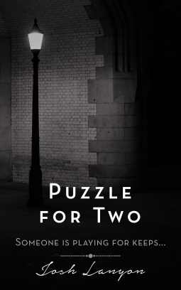 book cover for Puzzle for Two