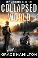 book cover for Collapsed World