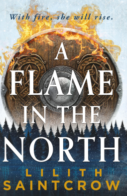 book cover for A Flame in the North