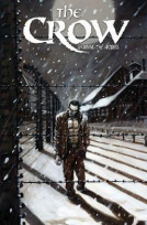 book cover for The Crow: Skinning the Wolves