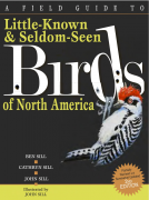 book cover for A Field Guide To Little-Known And Seldom-Seen Birds Of North America