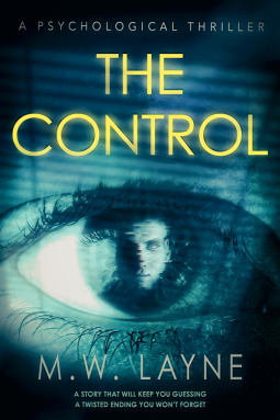 book cover for The Control