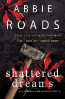 book cover for Shattered Dreams