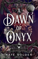 book cover for A Dawn of Onyx