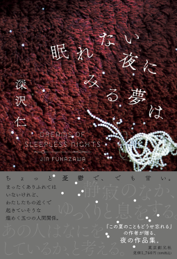 眠れない夜にみる夢は 表紙