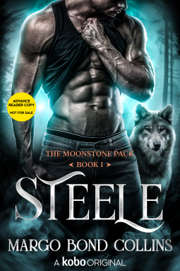 book cover for Steele