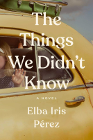 book cover for The Things We Didn't Know