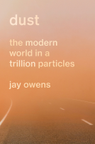 book cover for Dust
