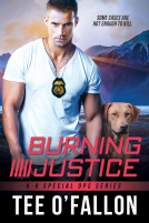 book cover for Burning Justice